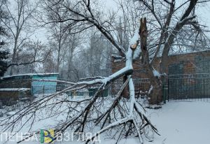 Пензенцев предупредили о сильном ветре 8 марта