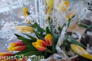 Женский день, бесплатные прививки от ВПЧ, 24-градусный мороз — главные новости Пензенской области за 8 марта