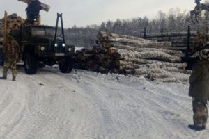 В 2026 году в Пензе и области выявили 34 нарушения лесного законодательства