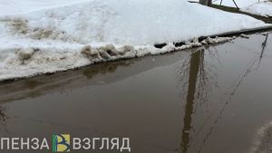 Усманов рассказал о состоянии ливневок в Пензе