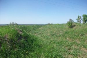 В Никольском районе проведут археологические разведки до конца 2026 года