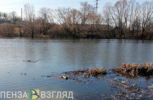 Жители Пензенской области узнали, как подготовиться к эвакуации при наводнении