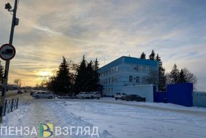 В Пензе следователи выясняют обстоятельства гибели девушки в Арбекове