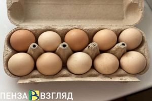 Яйца на прилавках пензенских магазинов могут продолжить расти в цене