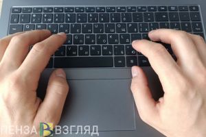Пензенцам рассказали, как пожаловаться на кредиторов на Госуслугах