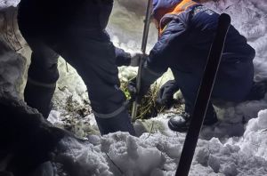 В Пензе из колодца спасли собаку