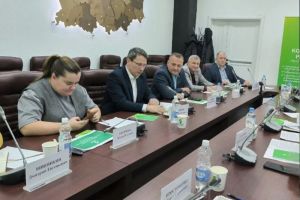 Алмаз Хакимов назвал ключевые инвестпроекты Пензенской области