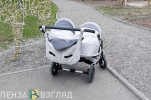 В Пензенской области изменились правила учета алиментов для единого пособия