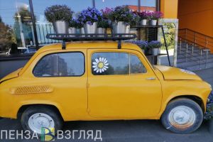 В 2026 году в Пензенской области планируют заключить не менее 2740 соцконтрактов