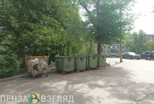 В двух районах Пензы за год ликвидировали более 2,4 тыс. навалов мусора