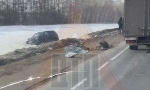 На трассе в Пензенском районе столкнулись две иномарки