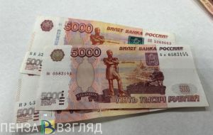 Пензенец задолжал налоговой более 23 миллионов рублей