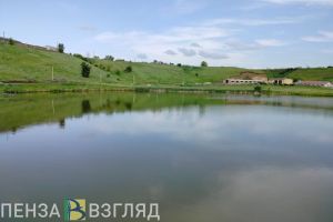 Пензенский областной суд отменил передачу одного пруда двум пользователям