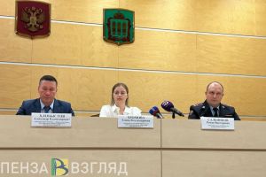 За год ущерб пензенцев от мошенников составил более 1,1 млрд рублей