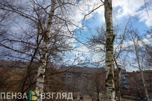 В Пензенской области 20 марта потеплеет до +9 градусов