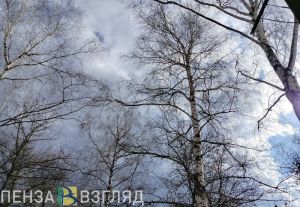 Пензенцев на выходных ожидает теплая весенняя погода
