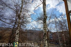 В воскресенье в Пензенской области потеплеет до +11 градусов