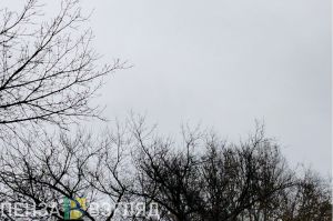 В Пензенской области действовали план «Ковер» и режим «Беспилотная опасность»
