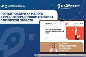 Мельниченко отметил развитие цифровых сервисов для поддержки пензенского бизнеса