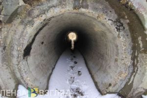 В Пензе и Саратове ищут двух пропавших девочек-подростков