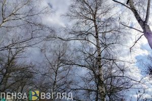 До 11 градусов тепла потеплеет в Пензенской области 24 марта