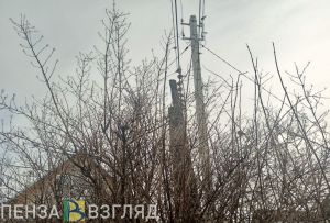 Пензенцам рассказали, когда в регионе ожидаются дожди