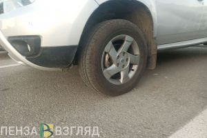 У многодетных в Пензенской области запретили забирать авто и землю за долги