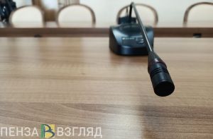 В Пензенской области создана комиссия по предупреждению ЧС