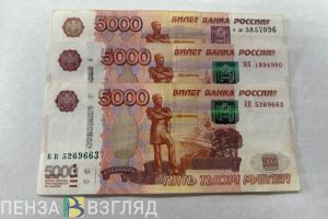 Молодым семьям в Пензе нужно до мая подать заявление по соцвыплате на жилье