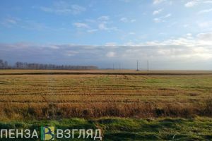 Аграрии Пензенской области внесли на поля 89,7 тысячи тонн минеральных удобрений