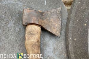 В 2026 году пензенские инспекторы выявили 42 нарушения лесного законодательства