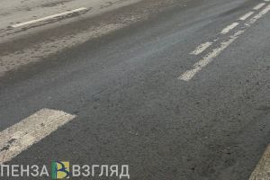В Пензенской области хотят выделить 18 млн руб. на дорогу к форелевому хозяйству