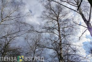 Пензенцам пообещали потепление и дожди на выходных