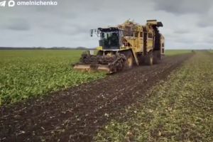 Мельниченко в 2026 году поручил обеспечить урожай не менее 2,8 млн тонн зерна