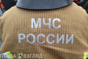 Сотрудники МЧС РФ по Пензенской области дважды за сутки выезжали на ДТП