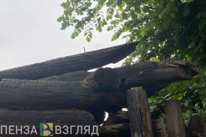 В Пензенской области утвердили сроки пожароопасного сезона