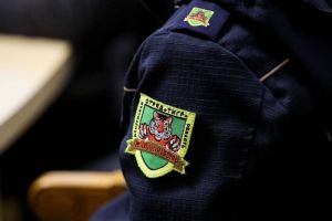 За 2 месяца с помощью отряда «Тигр» в Пензе и области пресекли 27 преступлений