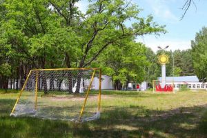 Летом в Кузнецке будут работать 19 детских лагерей