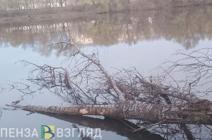 Вода в реке Атмис в Пензенской области поднялась выше поймы