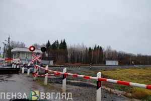 Движение поездов на участке Леонидовка – Шнаево полностью восстановлено