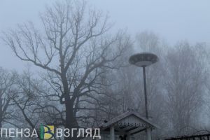 В ближайшие 3 часа Пензенскую область накроет туман