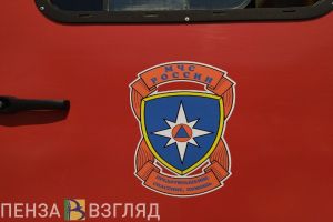В Пензенской области за сутки было ликвидировано 5 пожаров