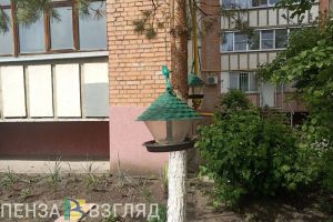 Пензенцы смогут управлять своими дворами через приложение «Госуслуги Дом»