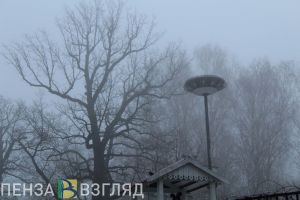 В начале следующей недели в Пензенской области снова пройдут дожди и грозы