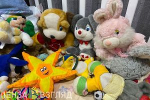 В Пензе провели мероприятие «Синее перышко добра над Россией»