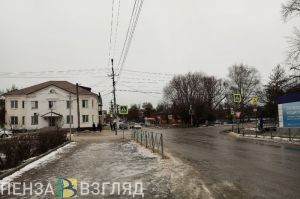 Сердобчанка-зооволонтер заявила в полицию о том, что сосед избил ее