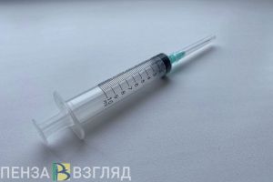 Пензенцам посоветовали сделать несколько прививок питомцам перед дачным сезоном