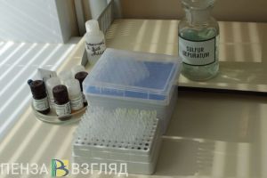 Пензенцев предупреждают о нашествии клещей и комаров