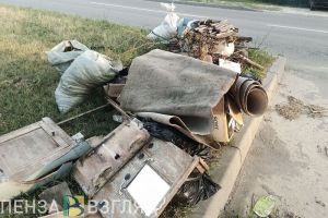 Пензенцам объяснили причину отсутствия урн в микрорайоне Ахуны