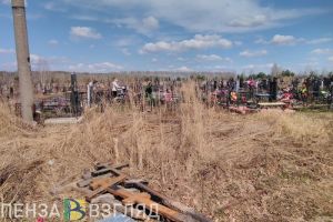 Желтый уровень погодной опасности, нашествие клещей, автобус до Восточного кладбища – новости Пензы и области за 4 апреля